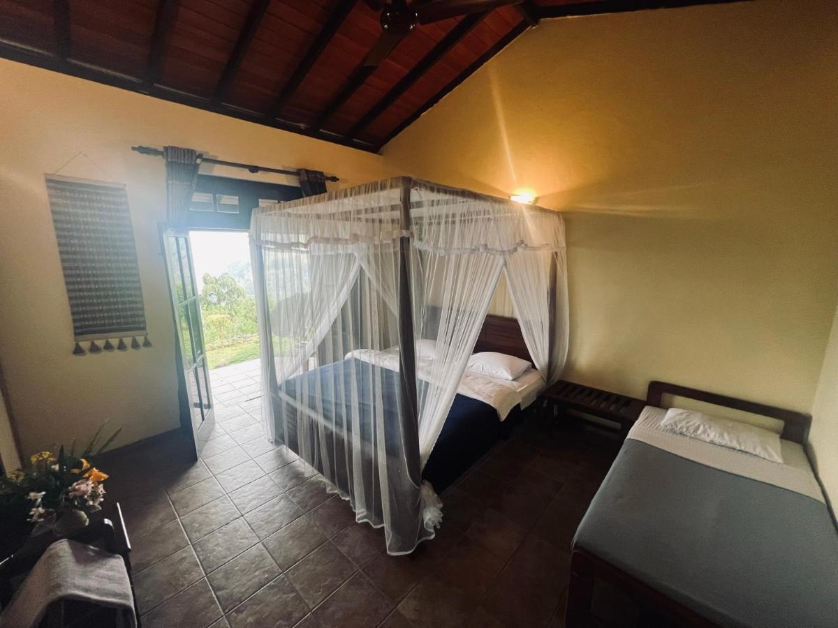 Ambiente Guest House Ella Esterno foto
